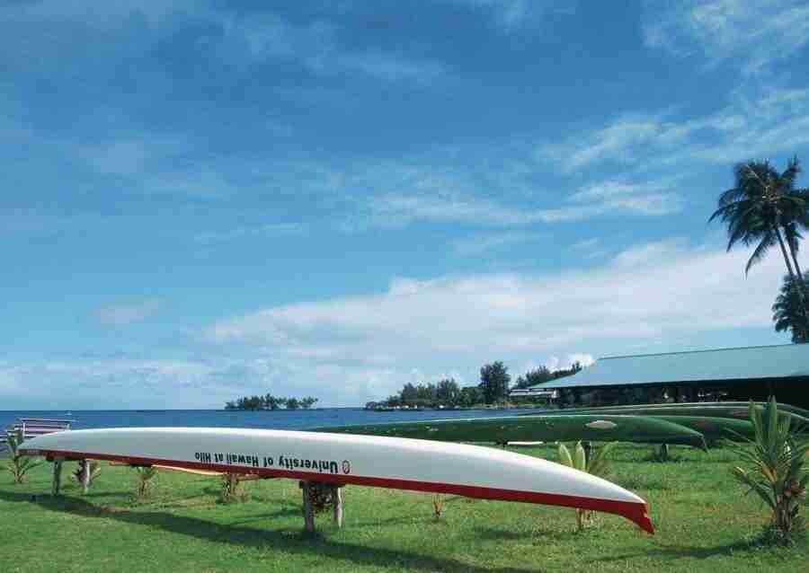 Hawaii - Datacraft Sozaijiten  ></a>
<script language=JavaScript> 
  var txt = 