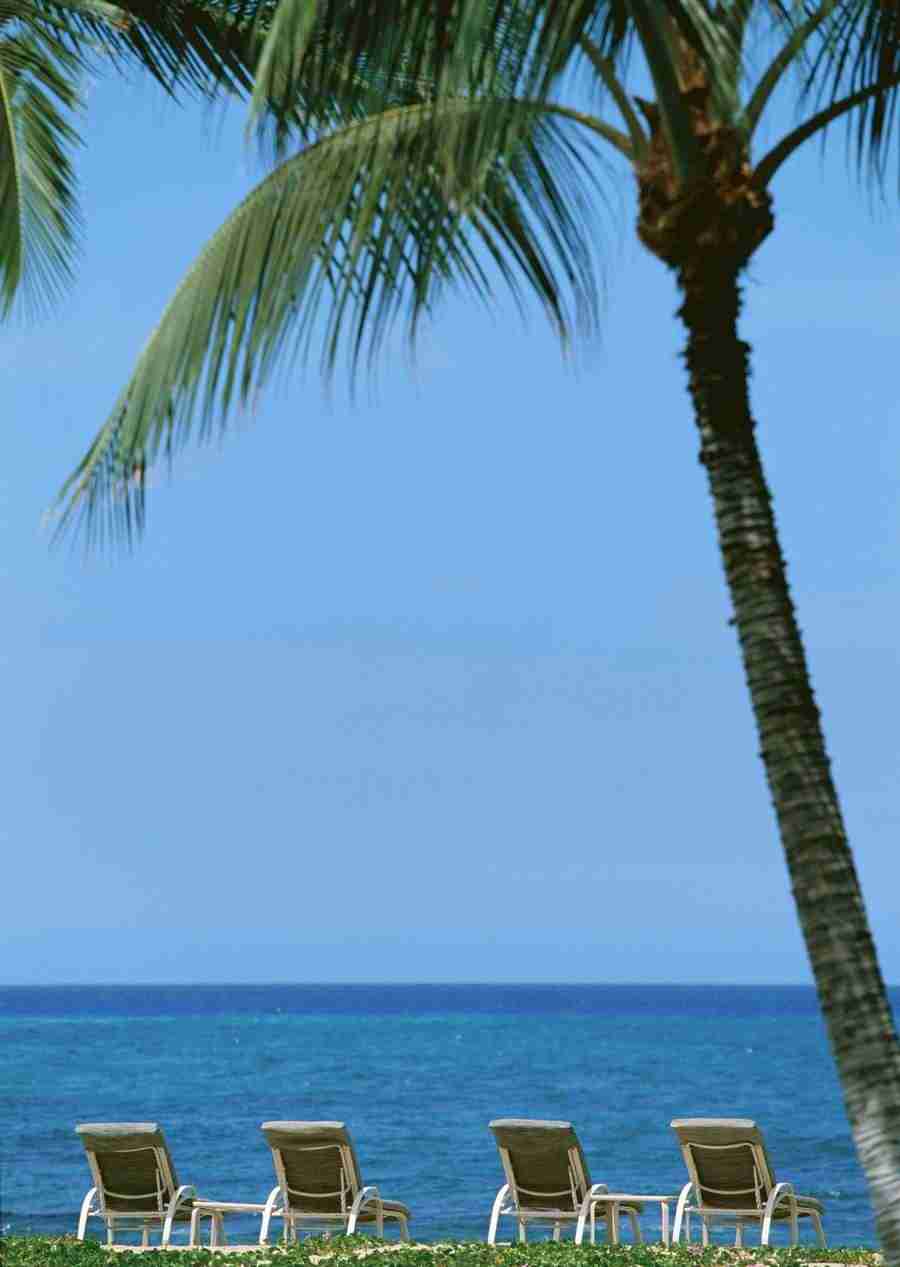 Hawaii - Datacraft Sozaijiten  ></a>
<script language=JavaScript> 
  var txt = 