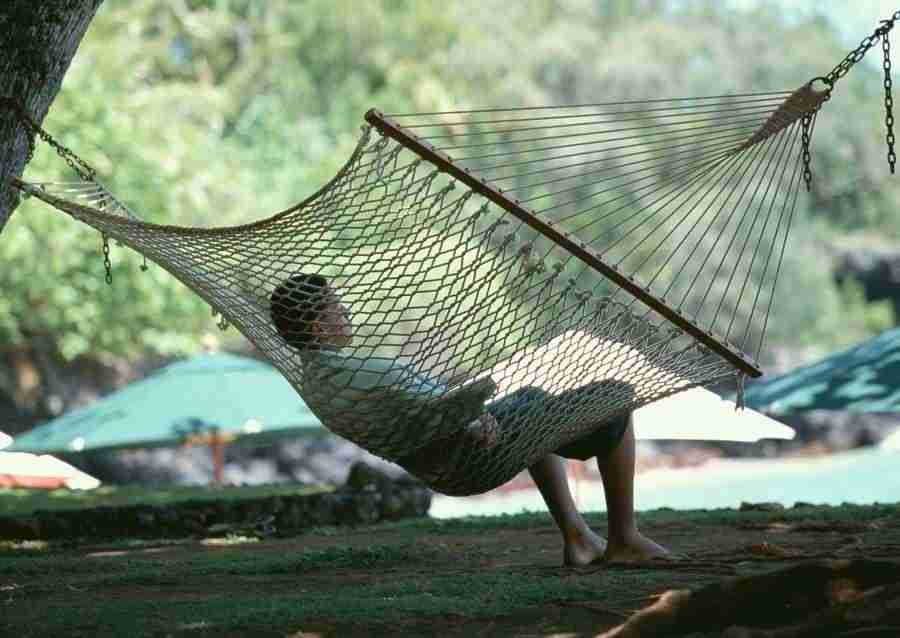 Hawaii - Datacraft Sozaijiten  ></a>
<script language=JavaScript> 
  var txt = 