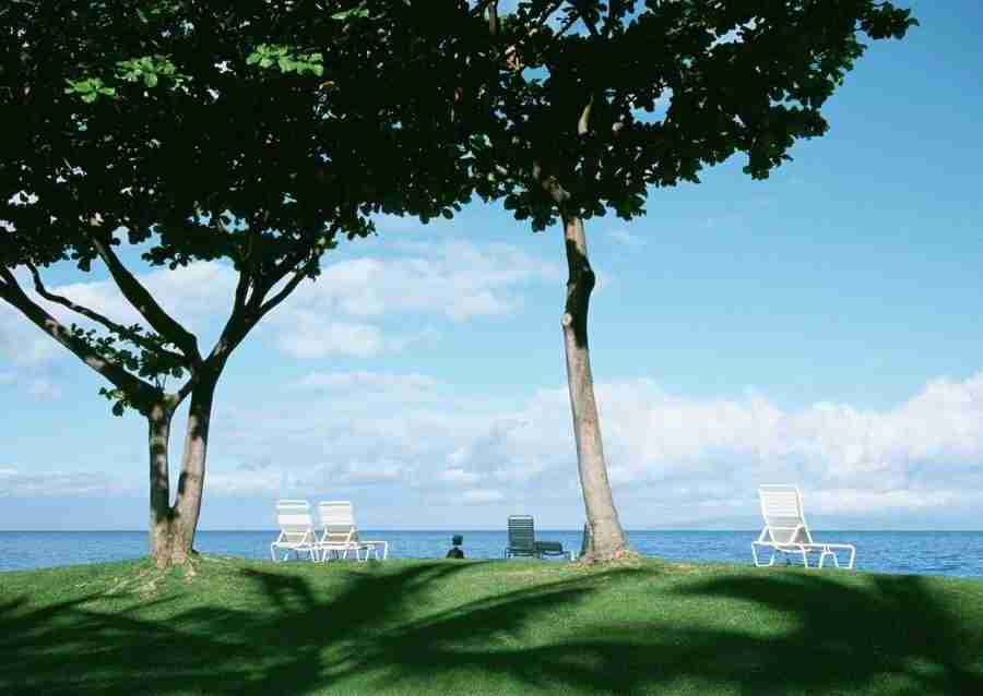 Hawaii - Datacraft Sozaijiten  ></a>
<script language=JavaScript> 
  var txt = 