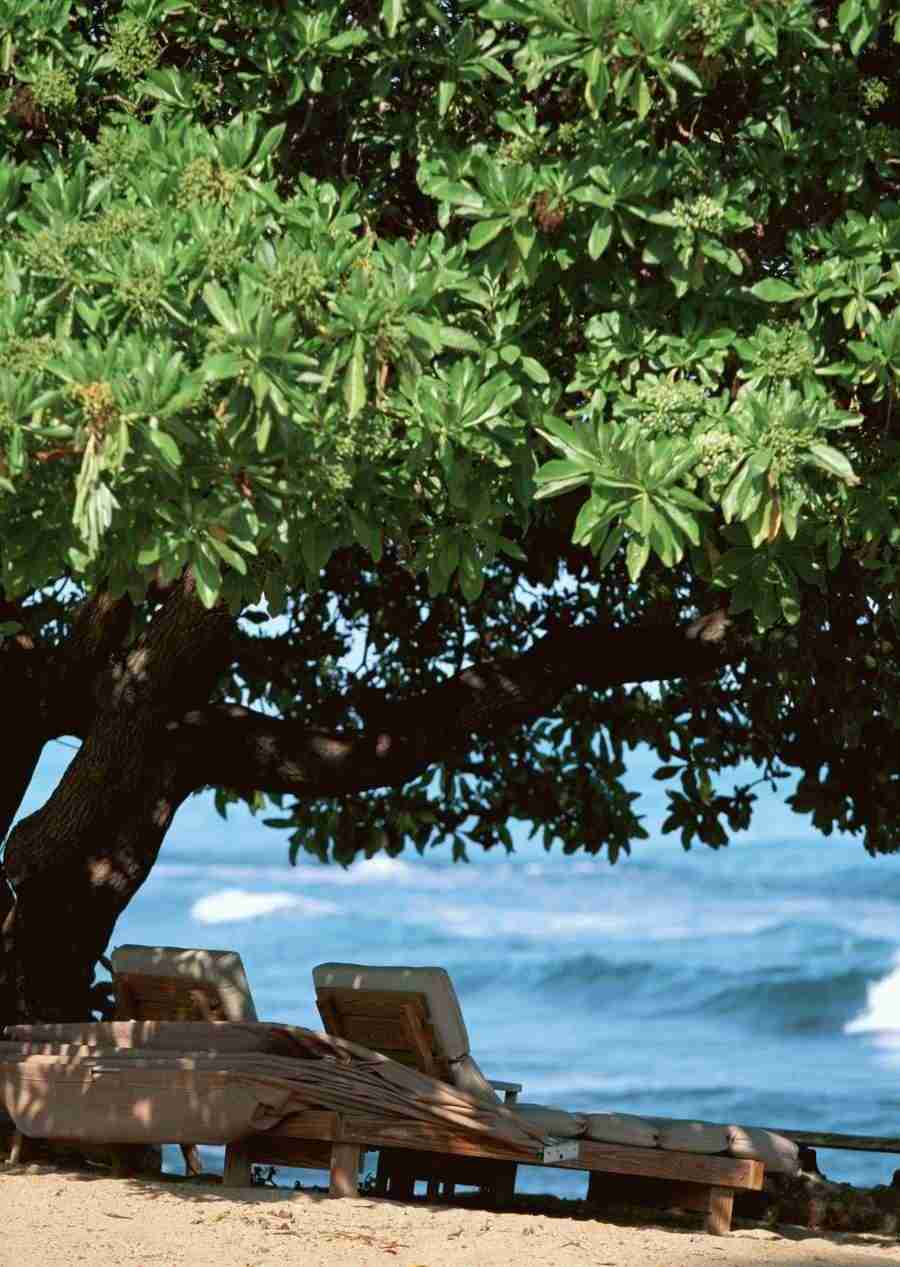 Hawaii - Datacraft Sozaijiten  ></a>
<script language=JavaScript> 
  var txt = 