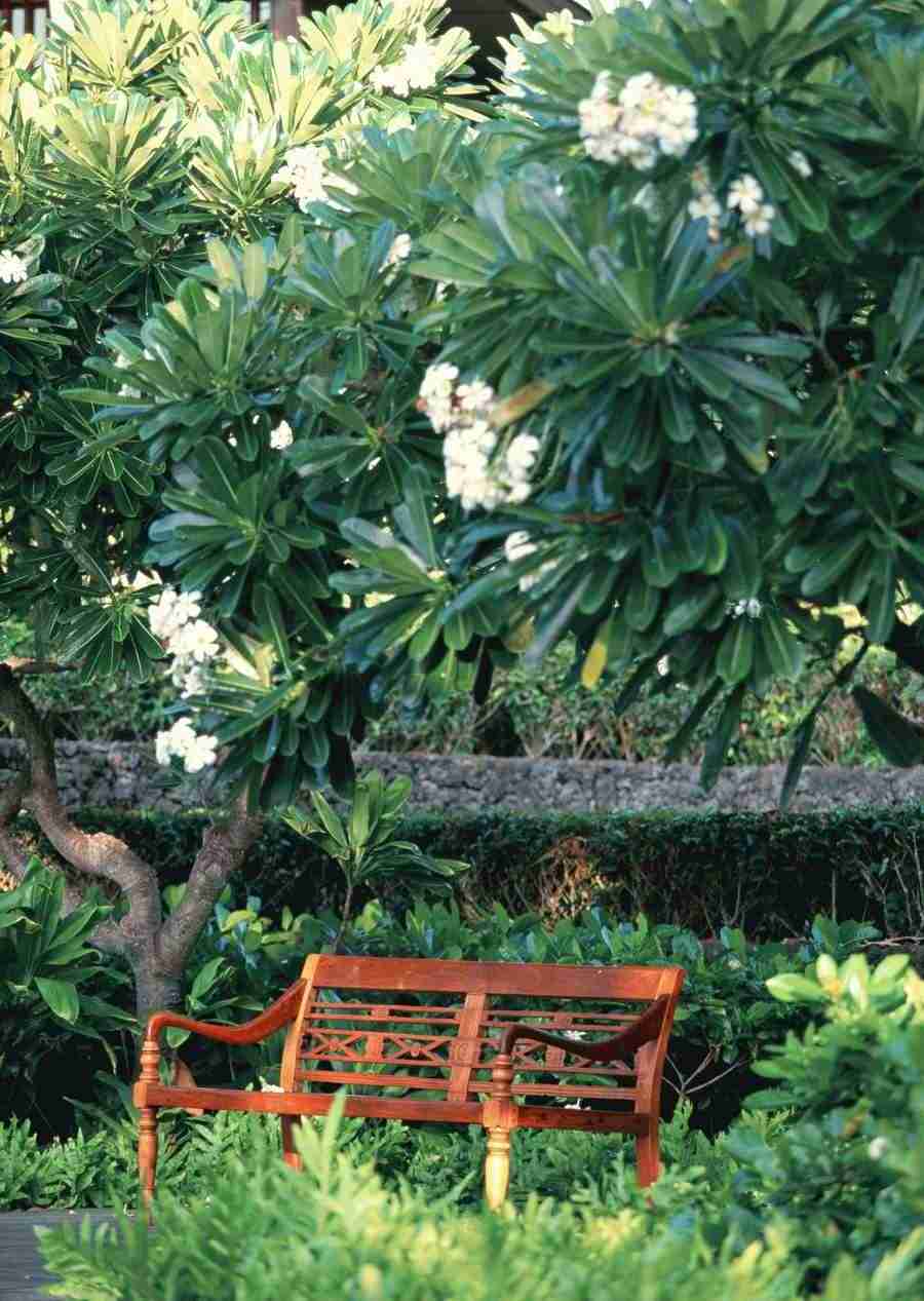 Hawaii - Datacraft Sozaijiten  ></a>
<script language=JavaScript> 
  var txt = 