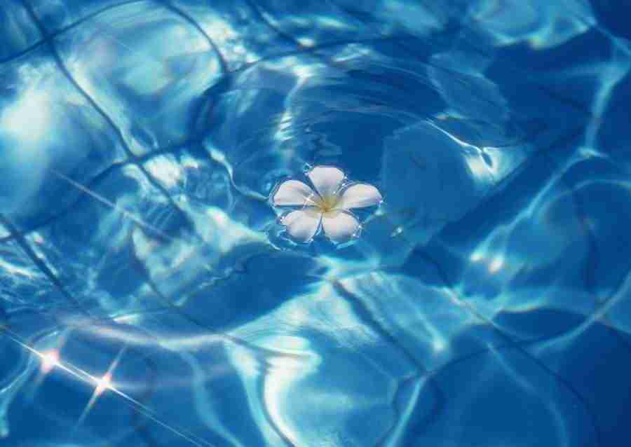 Hawaii - Datacraft Sozaijiten  ></a>
<script language=JavaScript> 
  var txt = 