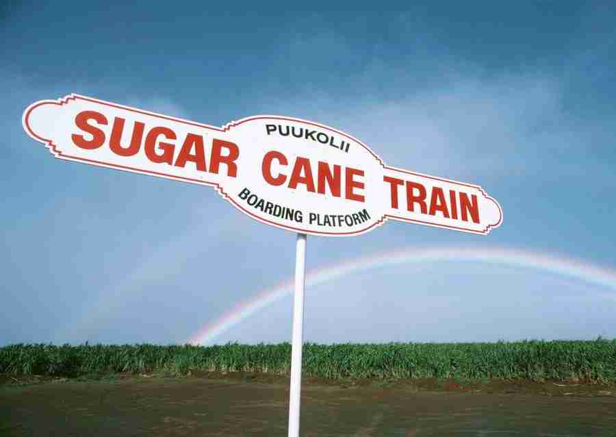 Hawaii - Datacraft Sozaijiten  ></a>
<script language=JavaScript> 
  var txt = 