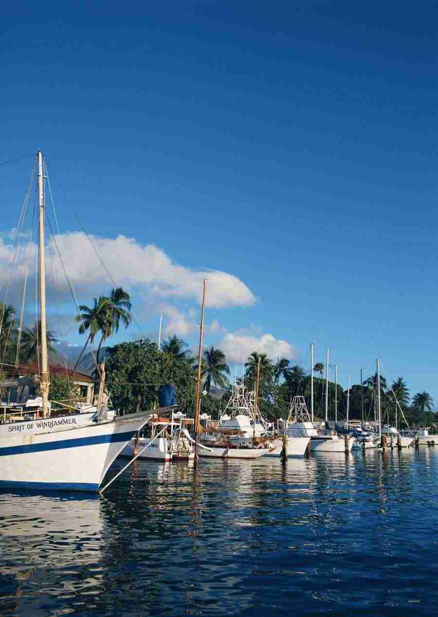 Hawaii - Datacraft Sozaijiten  ></a>
<script language=JavaScript> 
  var txt = 