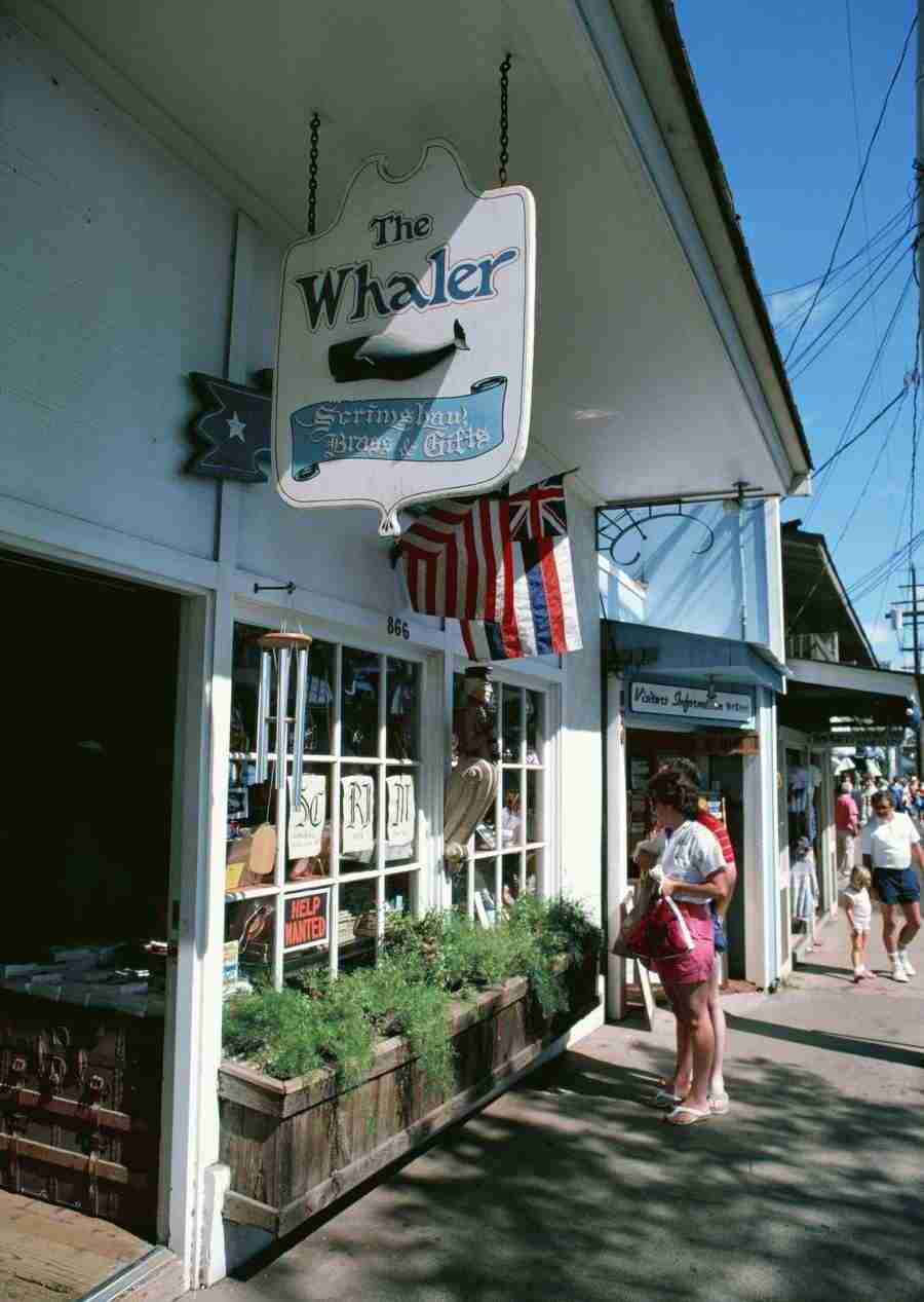 Hawaii - Datacraft Sozaijiten  ></a>
<script language=JavaScript> 
  var txt = 