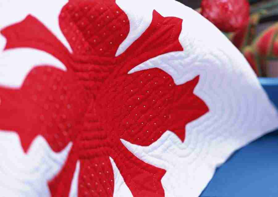 Hawaii - Datacraft Sozaijiten  ></a>
<script language=JavaScript> 
  var txt = 