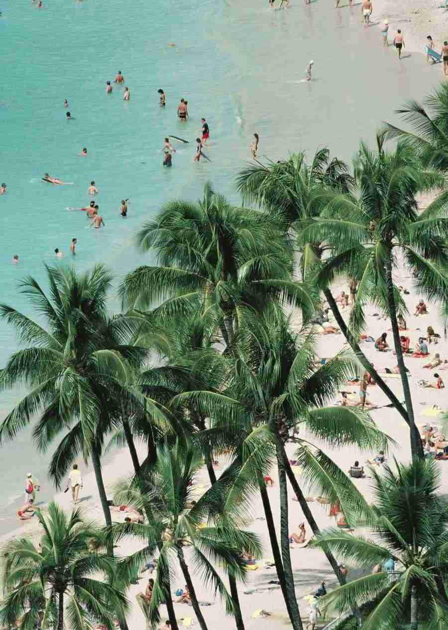 Hawaii - Datacraft Sozaijiten  ></a>
<script language=JavaScript> 
  var txt = 