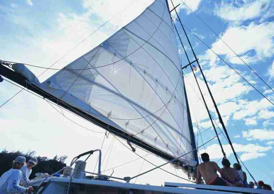 Hawaii - Datacraft Sozaijiten  ></a>
<script language=JavaScript> 
  var txt = 