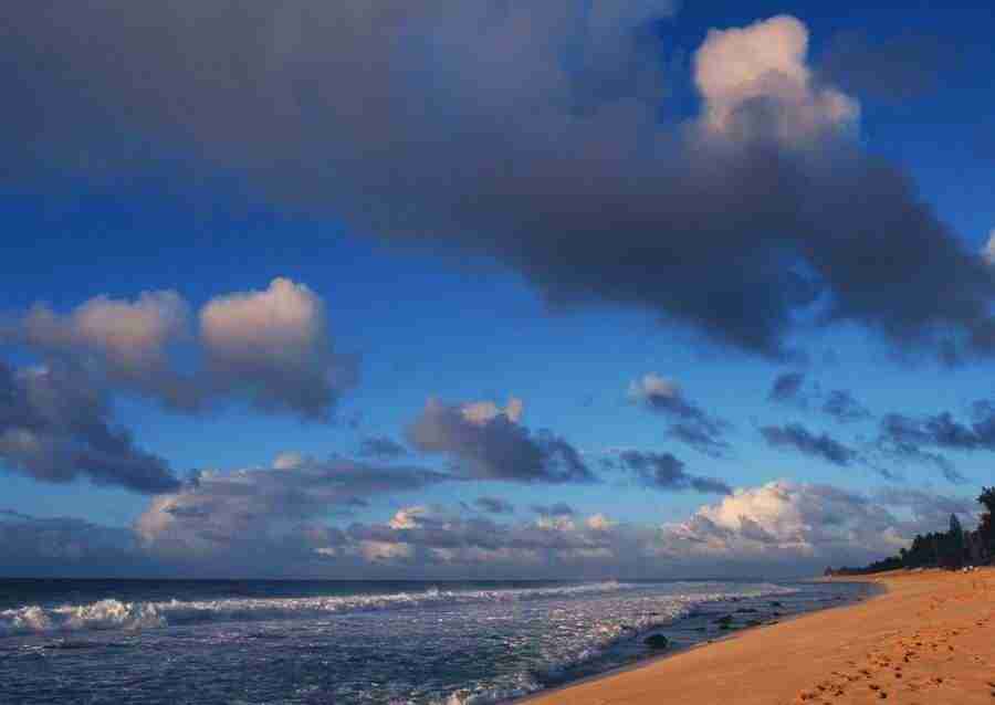 Hawaii - Datacraft Sozaijiten  ></a>
<script language=JavaScript> 
  var txt = 