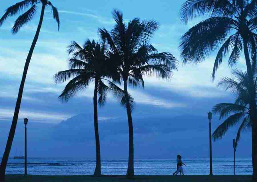 Hawaii - Datacraft Sozaijiten  ></a>
<script language=JavaScript> 
  var txt = 