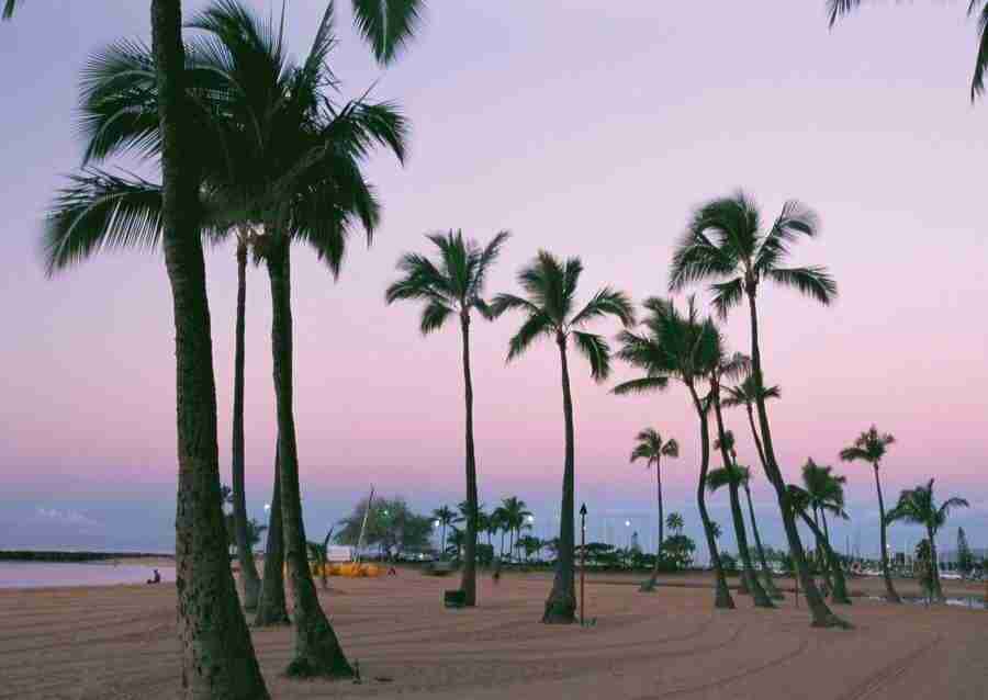 Hawaii - Datacraft Sozaijiten  ></a>
<script language=JavaScript> 
  var txt = 