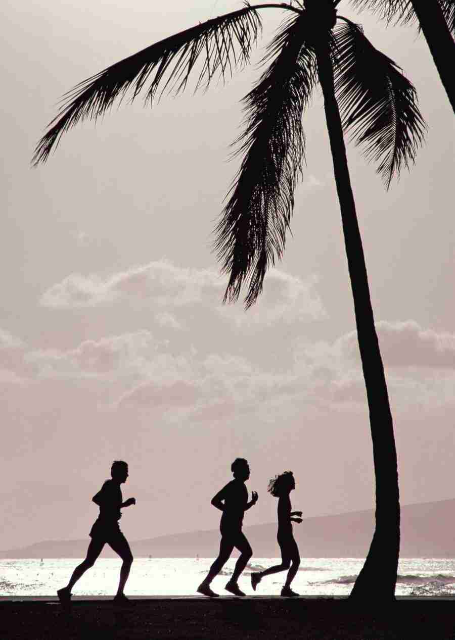 Hawaii - Datacraft Sozaijiten  ></a>
<script language=JavaScript> 
  var txt = 