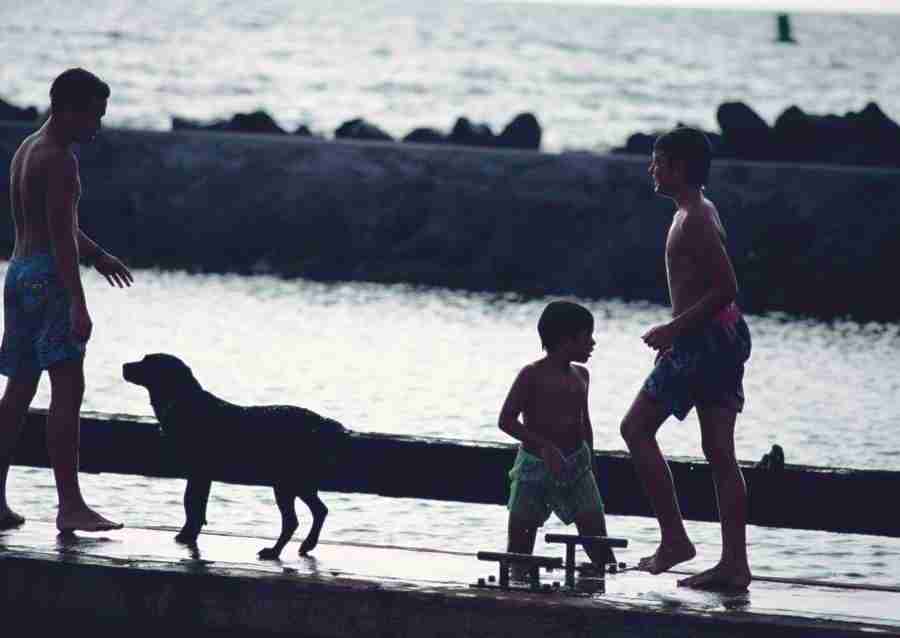 Hawaii - Datacraft Sozaijiten  ></a>
<script language=JavaScript> 
  var txt = 