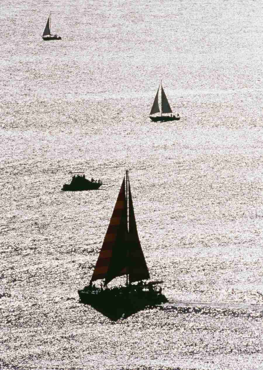 Hawaii - Datacraft Sozaijiten  ></a>
<script language=JavaScript> 
  var txt = 