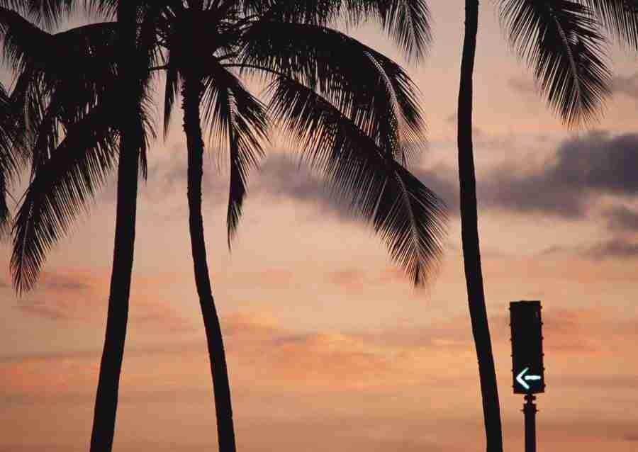 Hawaii - Datacraft Sozaijiten  ></a>
<script language=JavaScript> 
  var txt = 