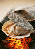 Datacraft Sozaijiten : Images of Japanese Food 