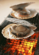 Datacraft Sozaijiten : Images of Japanese Food 