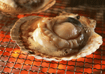 Datacraft Sozaijiten : Images of Japanese Food 