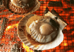 Datacraft Sozaijiten : Images of Japanese Food 