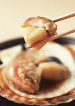 Datacraft Sozaijiten : Images of Japanese Food 