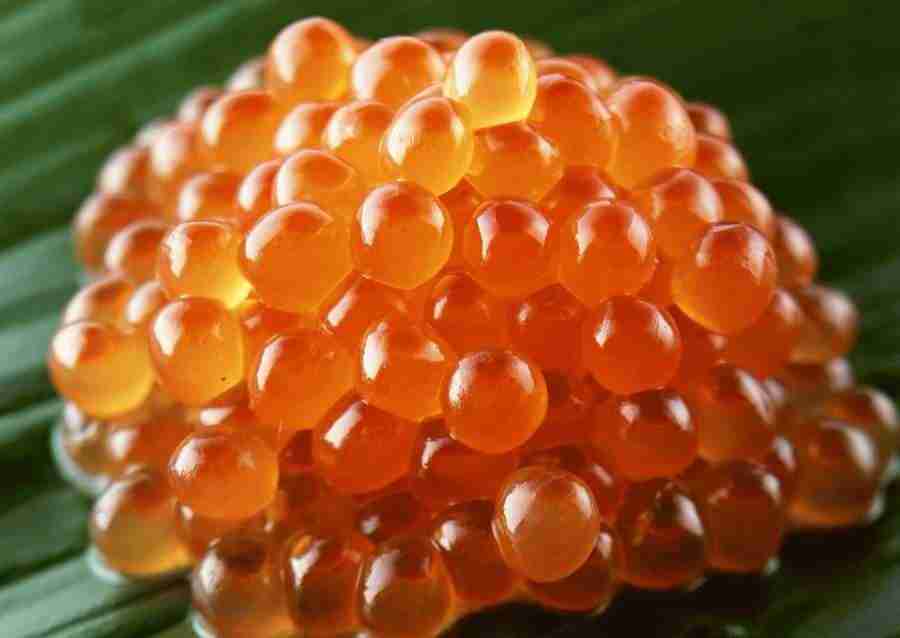 Images of Japanese Food - Datacraft Sozaijiten  ></a>
<script language=JavaScript> 
  var txt = 