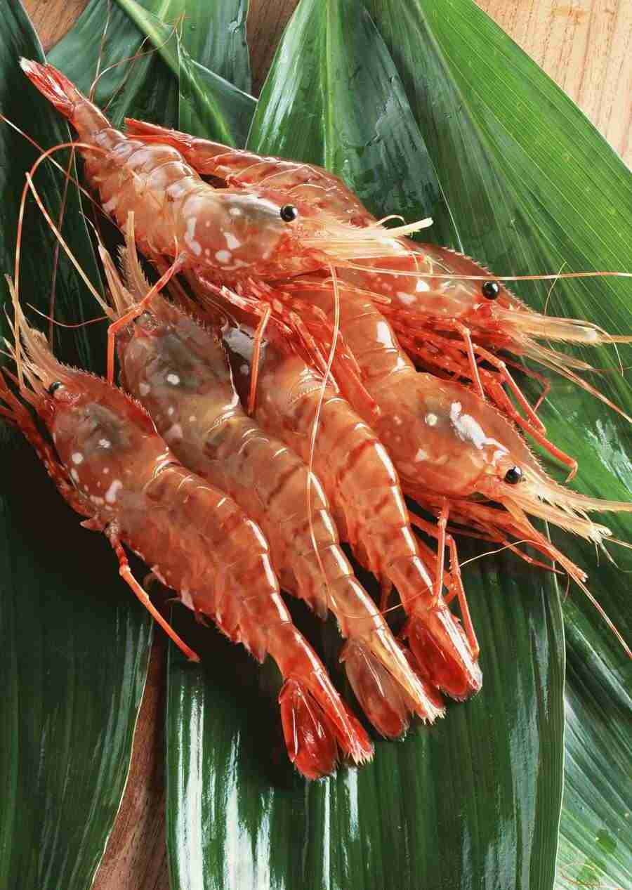 Images of Japanese Food - Datacraft Sozaijiten  ></a>
<script language=JavaScript> 
  var txt = 