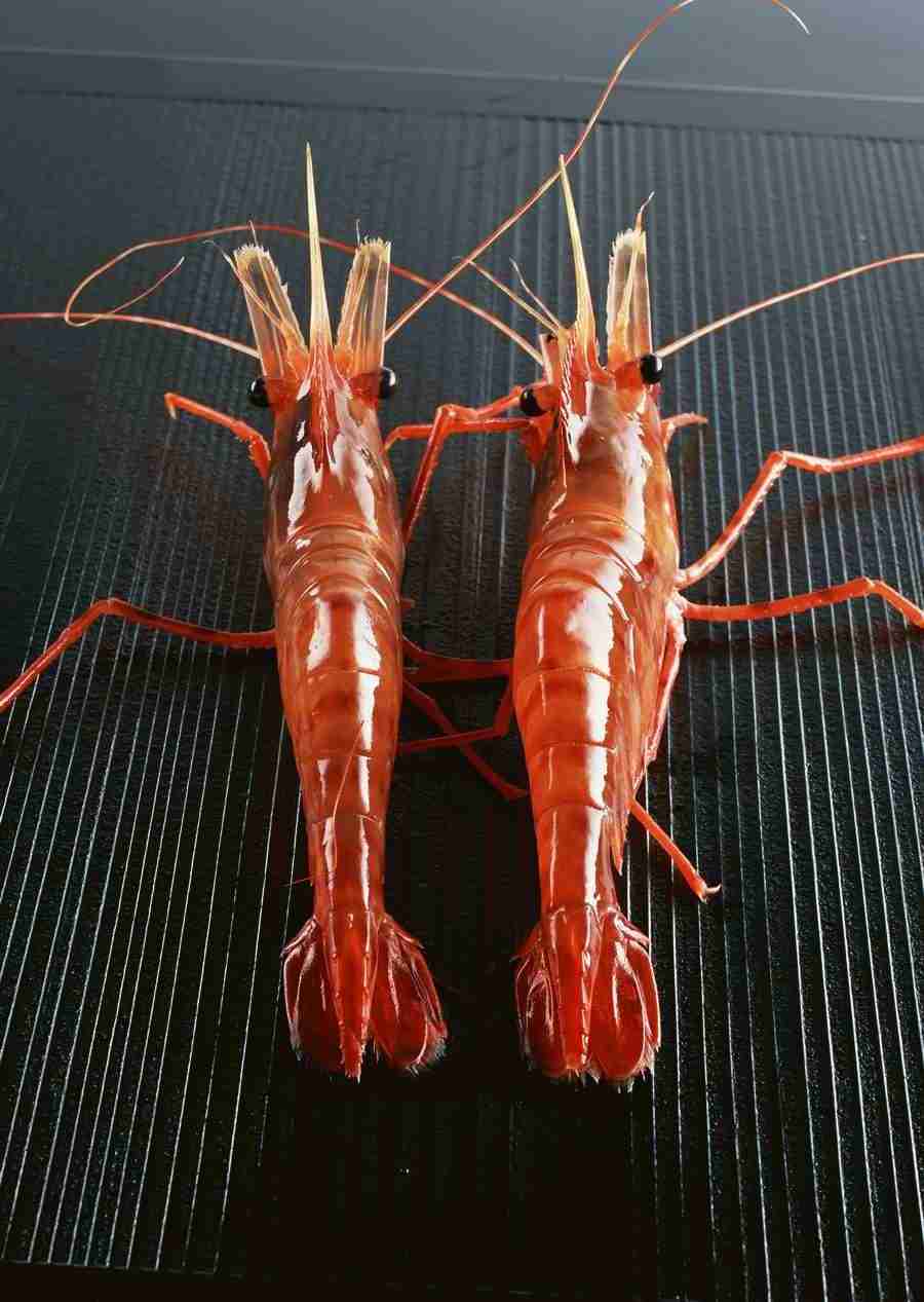 Images of Japanese Food - Datacraft Sozaijiten  ></a>
<script language=JavaScript> 
  var txt = 