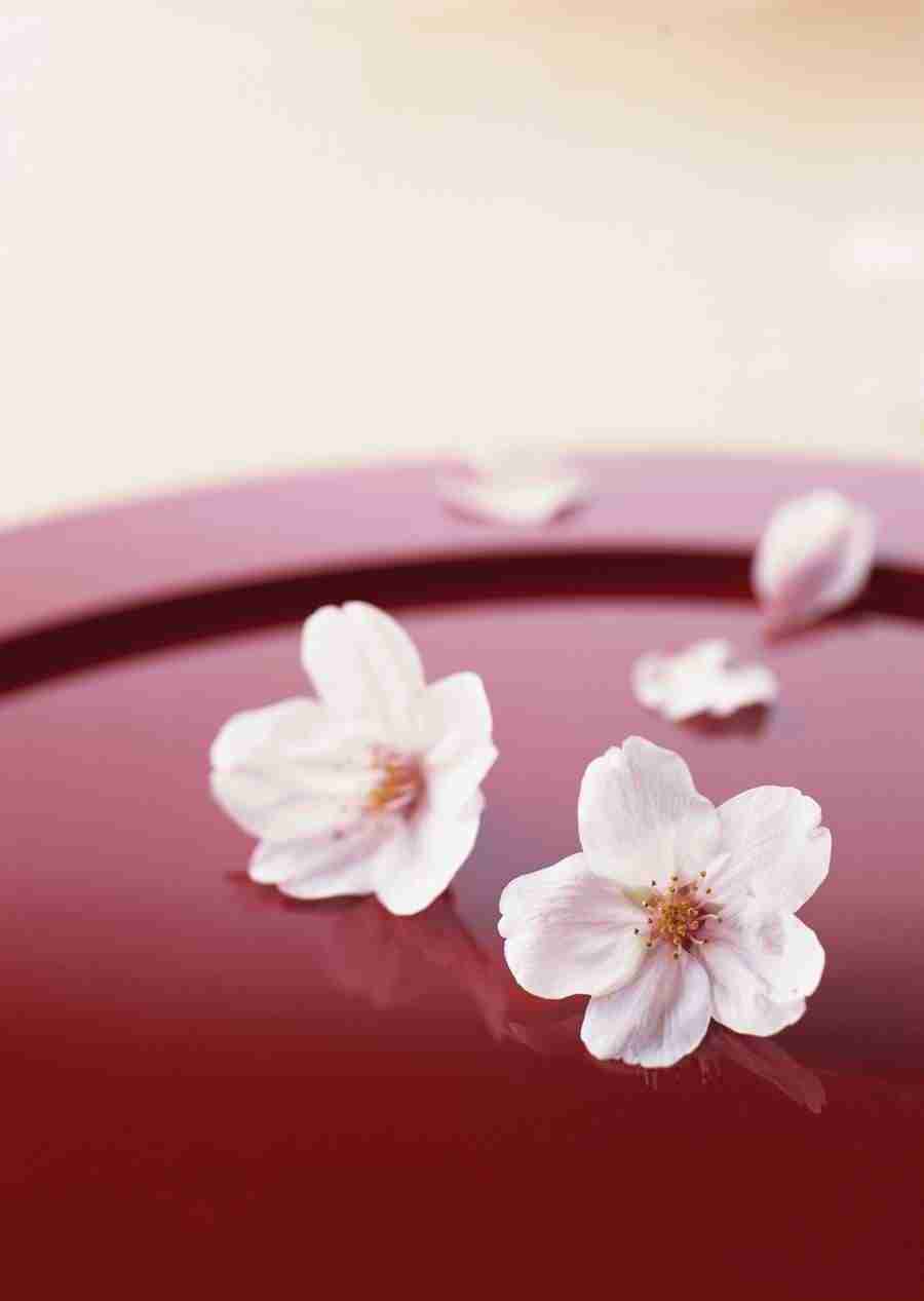 Images of Japanese Food - Datacraft Sozaijiten  ></a>
<script language=JavaScript> 
  var txt = 