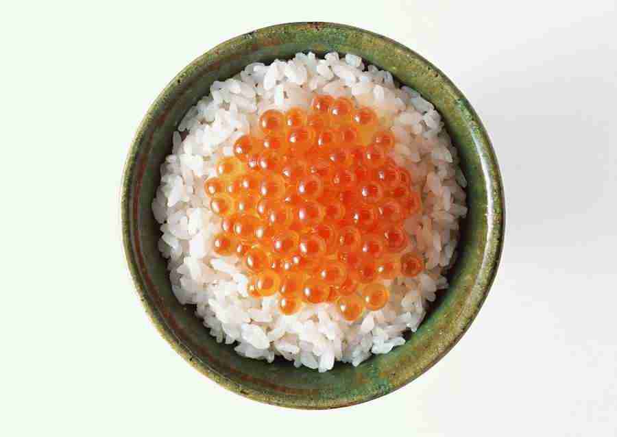 Japanese, Chinese and Western Food - Datacraft Sozaijiten  ></a>
<script language=JavaScript> 
  var txt = 