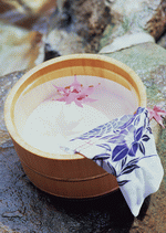 Datacraft Sozaijiten : Japanese Style Kyoto Flavor 