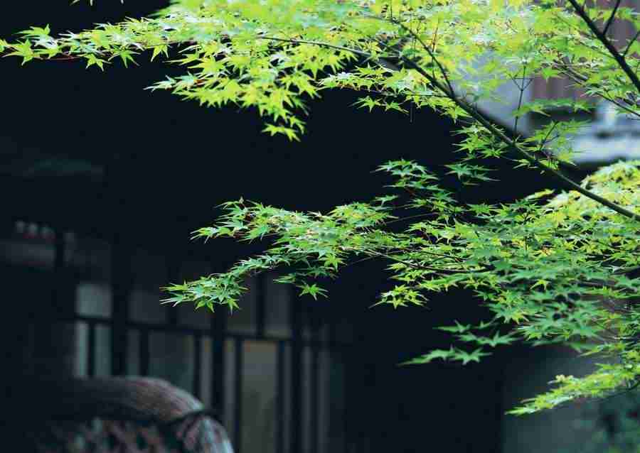 Japanese Style Kyoto Flavor - Datacraft Sozaijiten  ></a>
<script language=JavaScript> 
  var txt = 