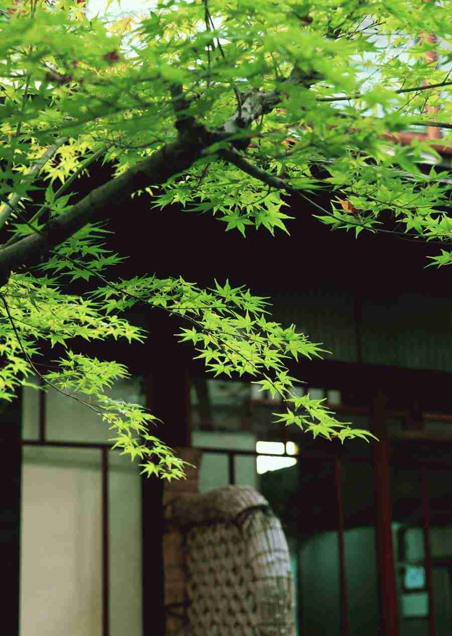 Japanese Style Kyoto Flavor - Datacraft Sozaijiten  ></a>
<script language=JavaScript> 
  var txt = 