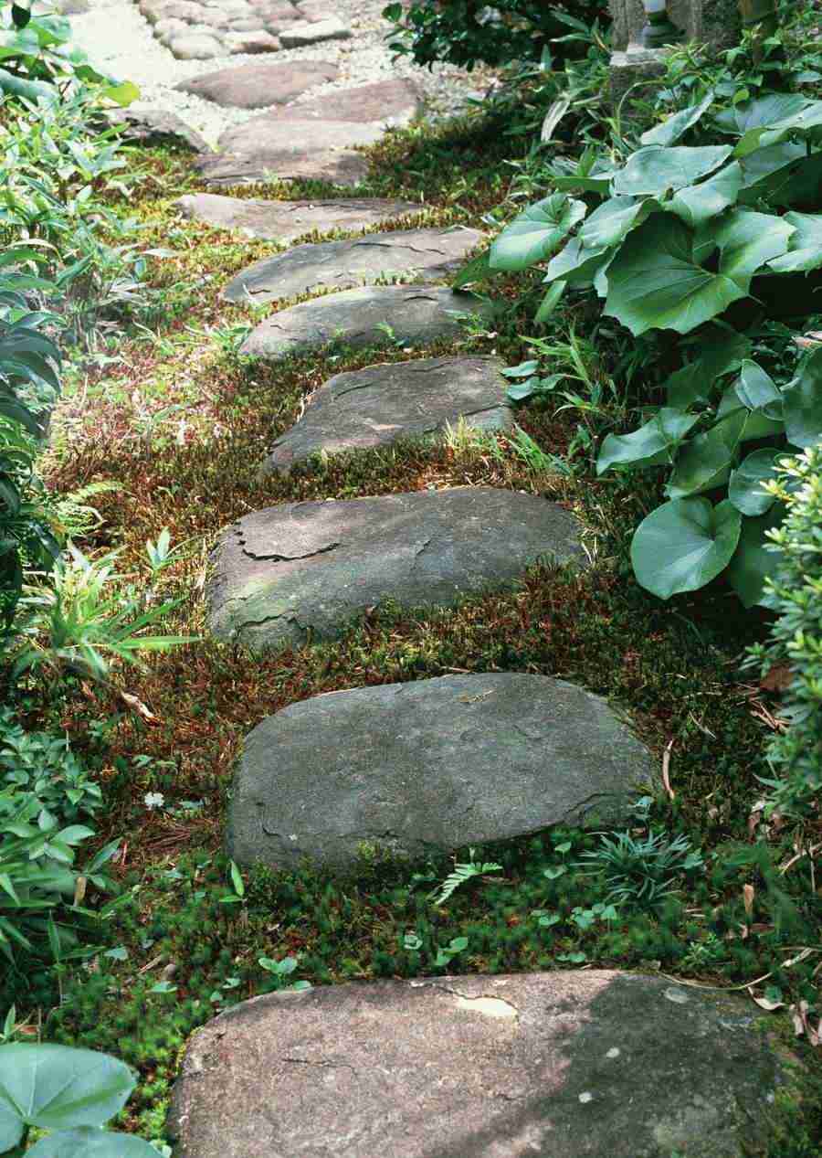 Japanese Style Kyoto Flavor - Datacraft Sozaijiten  ></a>
<script language=JavaScript> 
  var txt = 