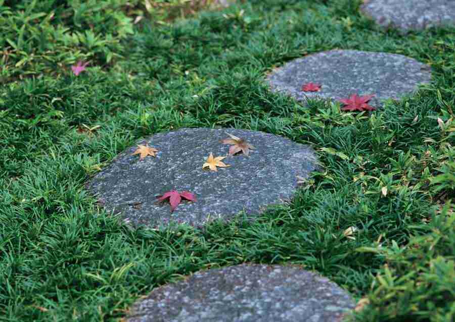 Japanese Style Kyoto Flavor - Datacraft Sozaijiten  ></a>
<script language=JavaScript> 
  var txt = 