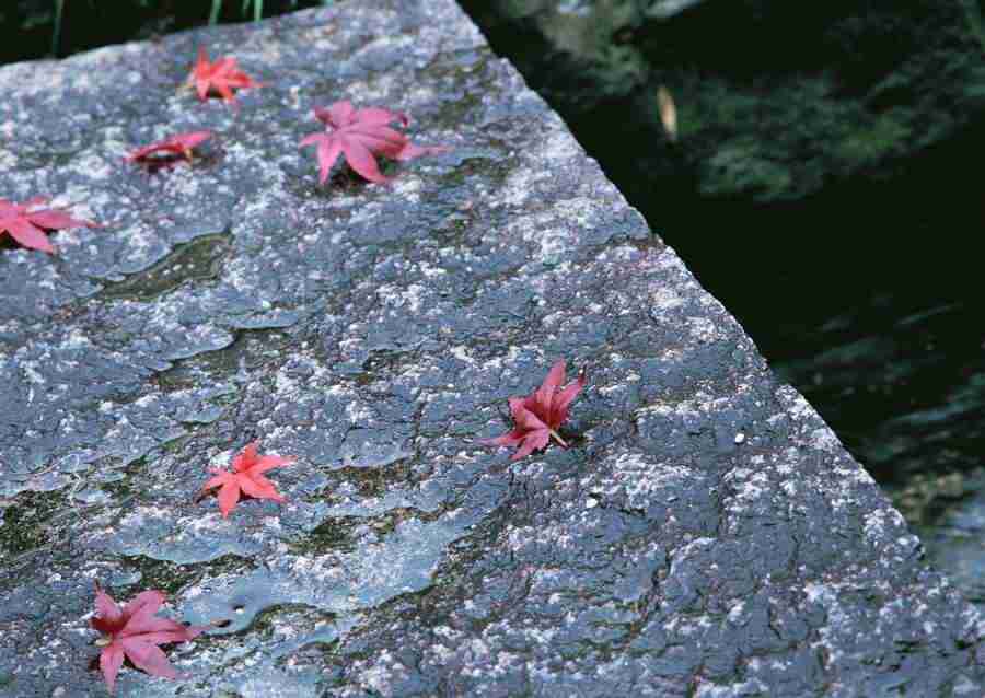 Japanese Style Kyoto Flavor - Datacraft Sozaijiten  ></a>
<script language=JavaScript> 
  var txt = 