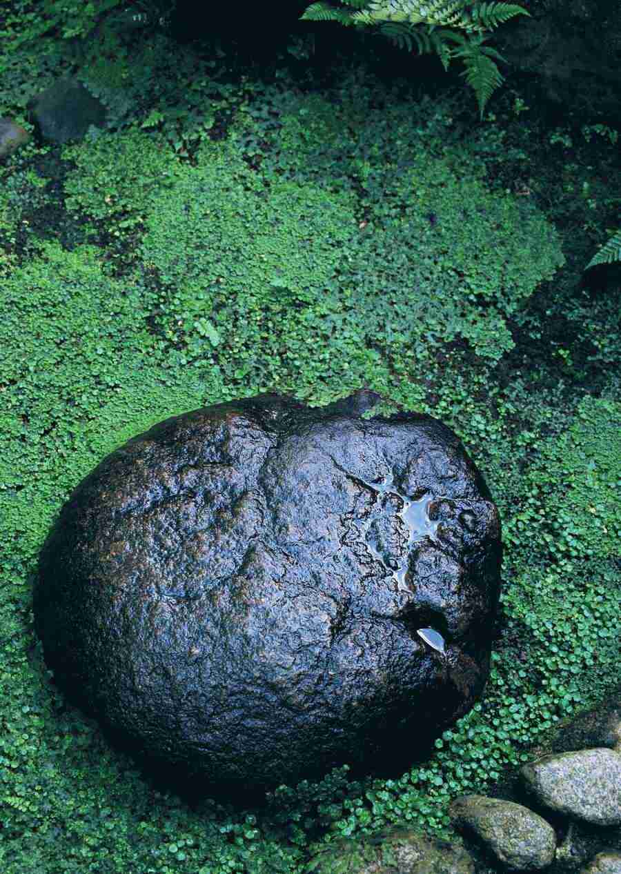 Japanese Style Kyoto Flavor - Datacraft Sozaijiten  ></a>
<script language=JavaScript> 
  var txt = 