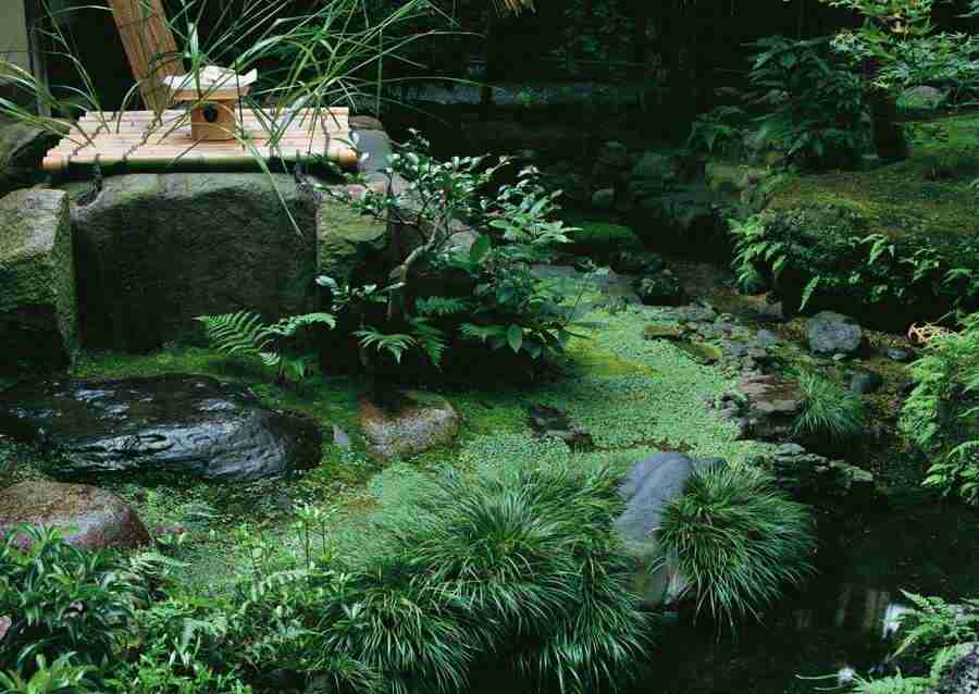 Japanese Style Kyoto Flavor - Datacraft Sozaijiten  ></a>
<script language=JavaScript> 
  var txt = 