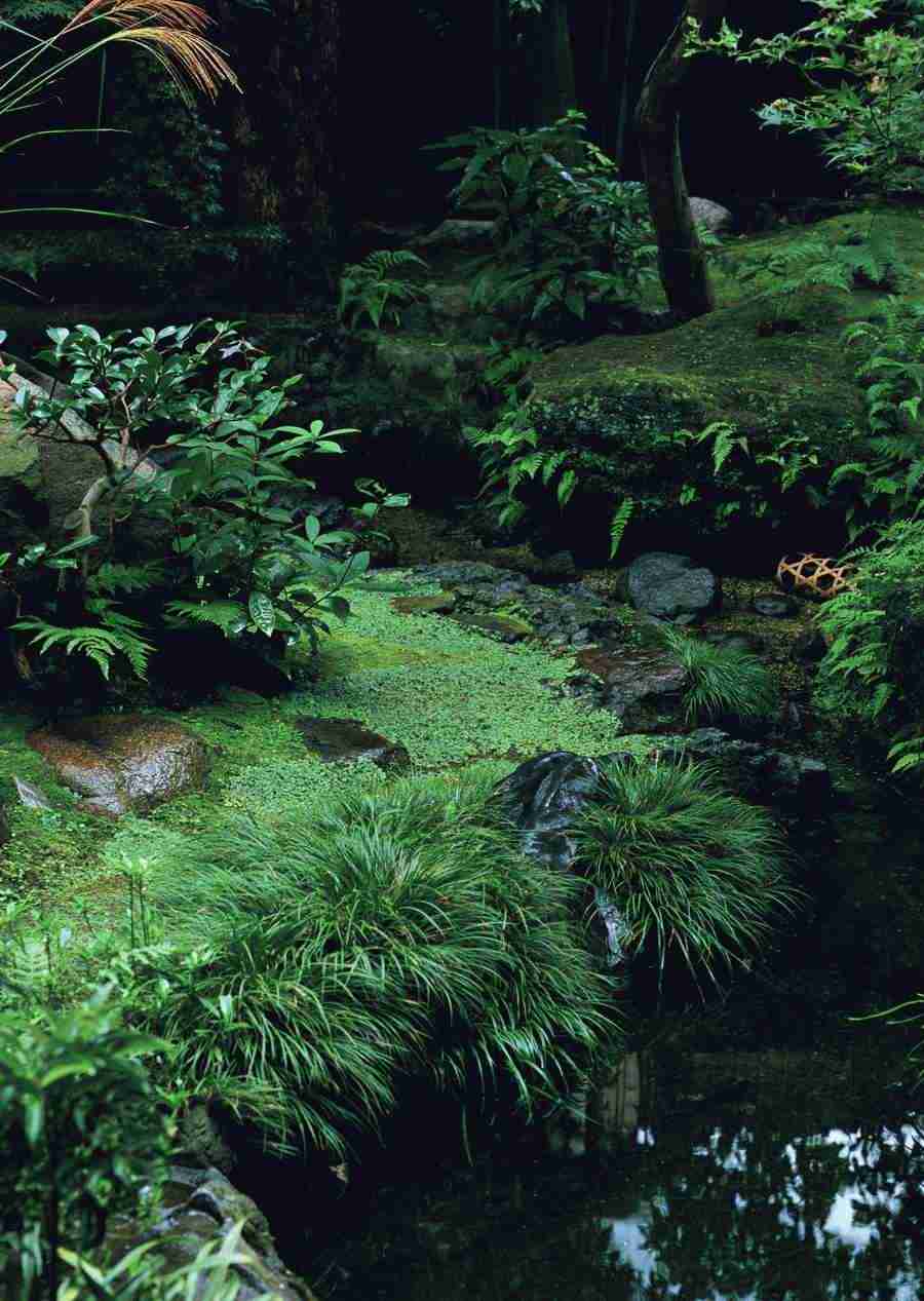 Japanese Style Kyoto Flavor - Datacraft Sozaijiten  ></a>
<script language=JavaScript> 
  var txt = 