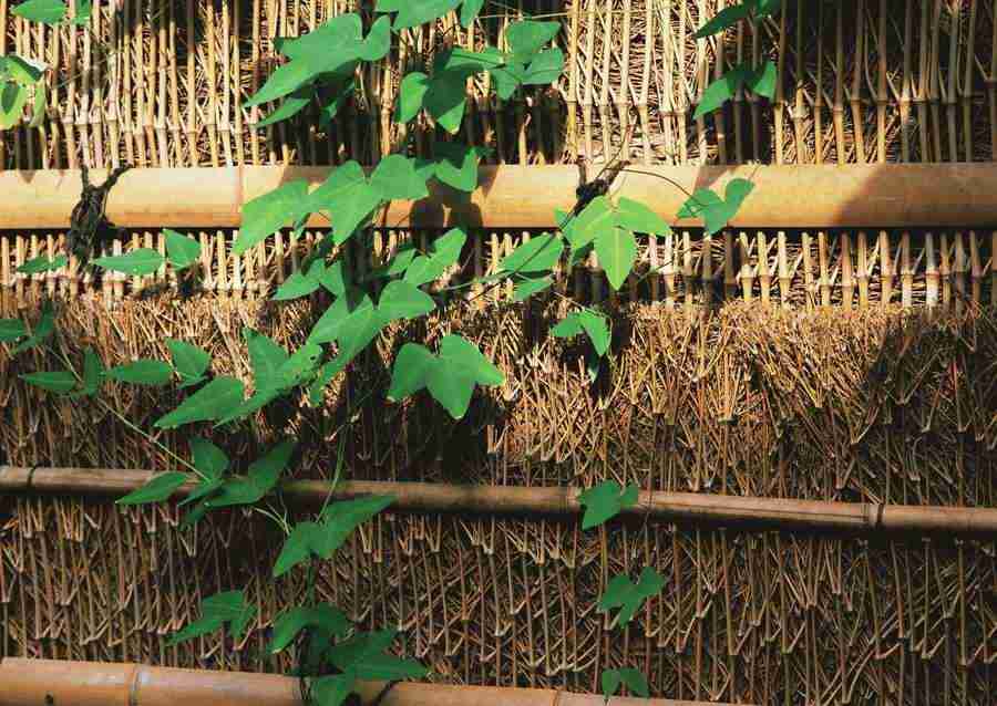 Japanese Style Kyoto Flavor - Datacraft Sozaijiten  ></a>
<script language=JavaScript> 
  var txt = 