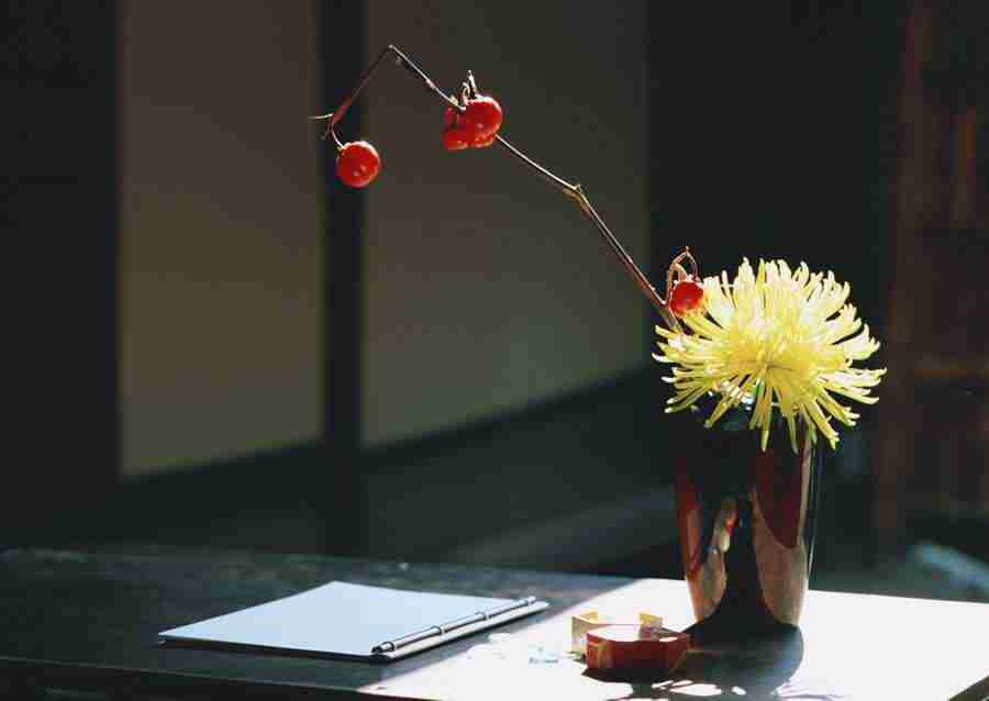 Japanese Style Kyoto Flavor - Datacraft Sozaijiten  ></a>
<script language=JavaScript> 
  var txt = 