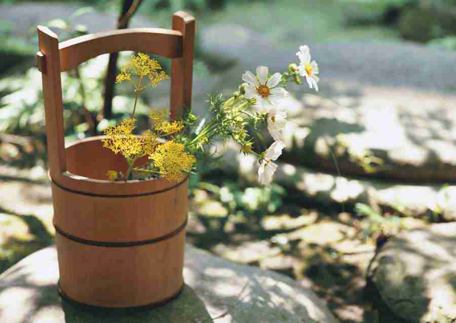 Japanese Style Kyoto Flavor - Datacraft Sozaijiten  ></a>
<script language=JavaScript> 
  var txt = 