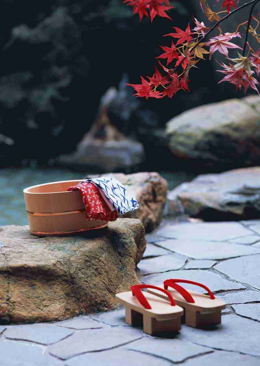 Japanese Style Kyoto Flavor - Datacraft Sozaijiten  ></a>
<script language=JavaScript> 
  var txt = 