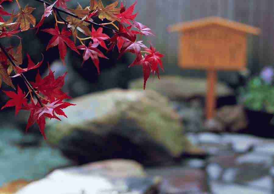 Japanese Style Kyoto Flavor - Datacraft Sozaijiten  ></a>
<script language=JavaScript> 
  var txt = 