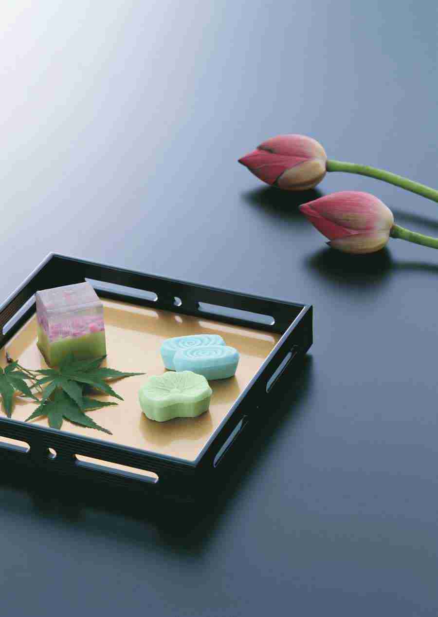 Japanese Style Kyoto Flavor - Datacraft Sozaijiten  ></a>
<script language=JavaScript> 
  var txt = 