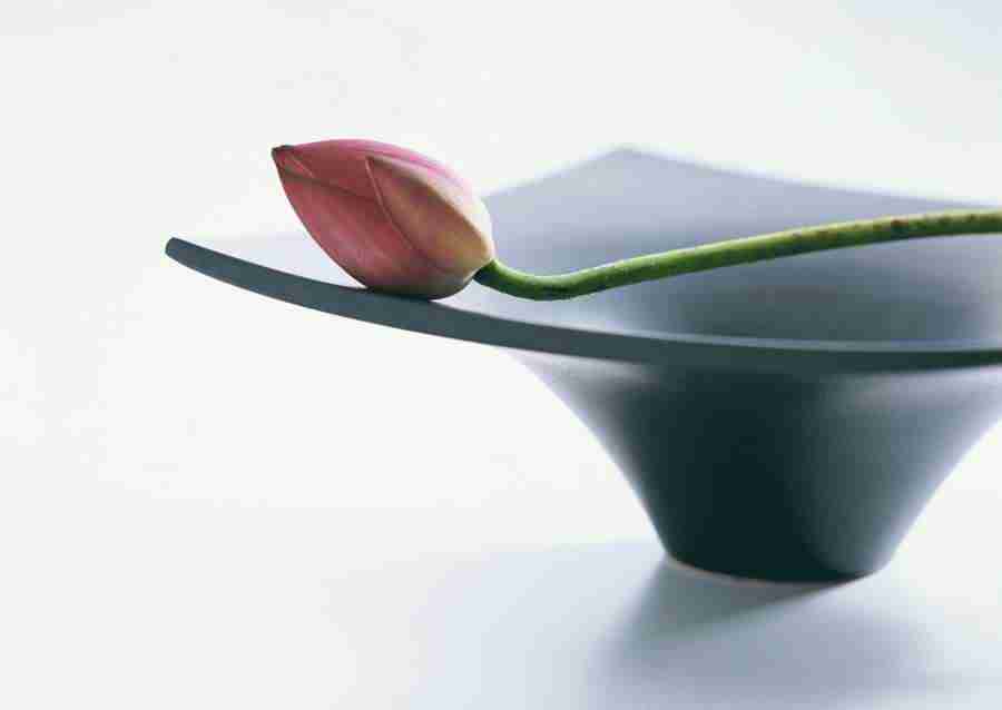 Japanese Style Kyoto Flavor - Datacraft Sozaijiten  ></a>
<script language=JavaScript> 
  var txt = 