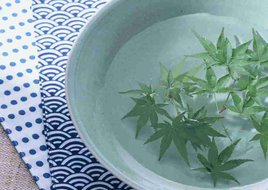 Japanese Style Kyoto Flavor - Datacraft Sozaijiten  ></a>
<script language=JavaScript> 
  var txt = 