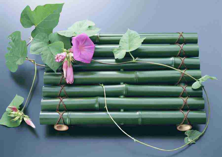 Japanese Style Kyoto Flavor - Datacraft Sozaijiten  ></a>
<script language=JavaScript> 
  var txt = 