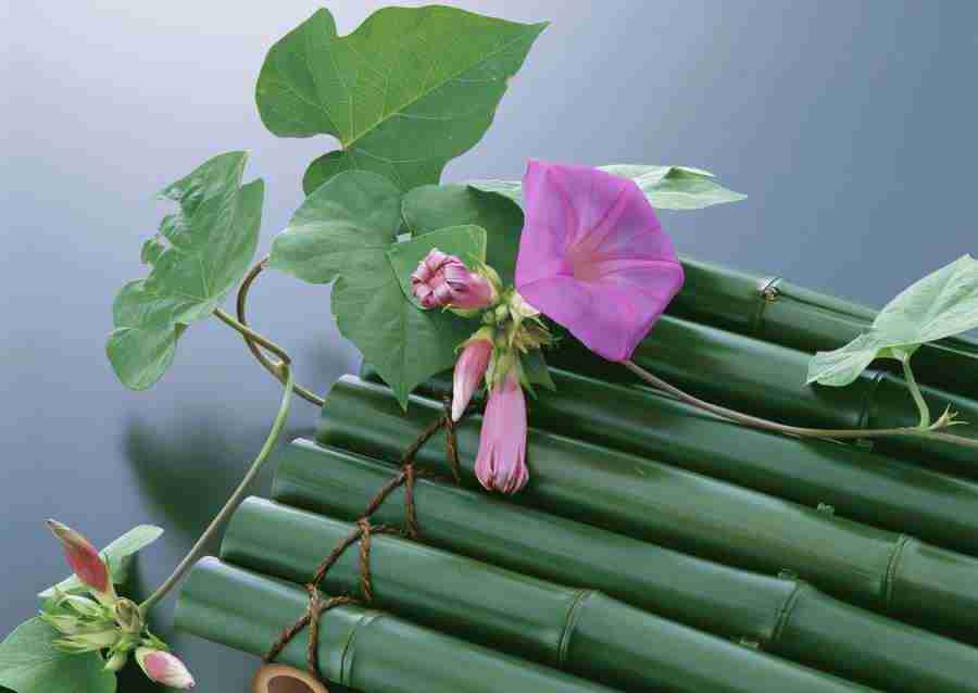 Japanese Style Kyoto Flavor - Datacraft Sozaijiten  ></a>
<script language=JavaScript> 
  var txt = 