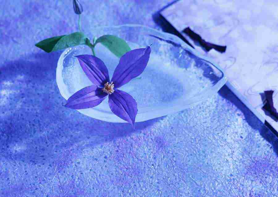 Japanese Style Kyoto Flavor - Datacraft Sozaijiten  ></a>
<script language=JavaScript> 
  var txt = 